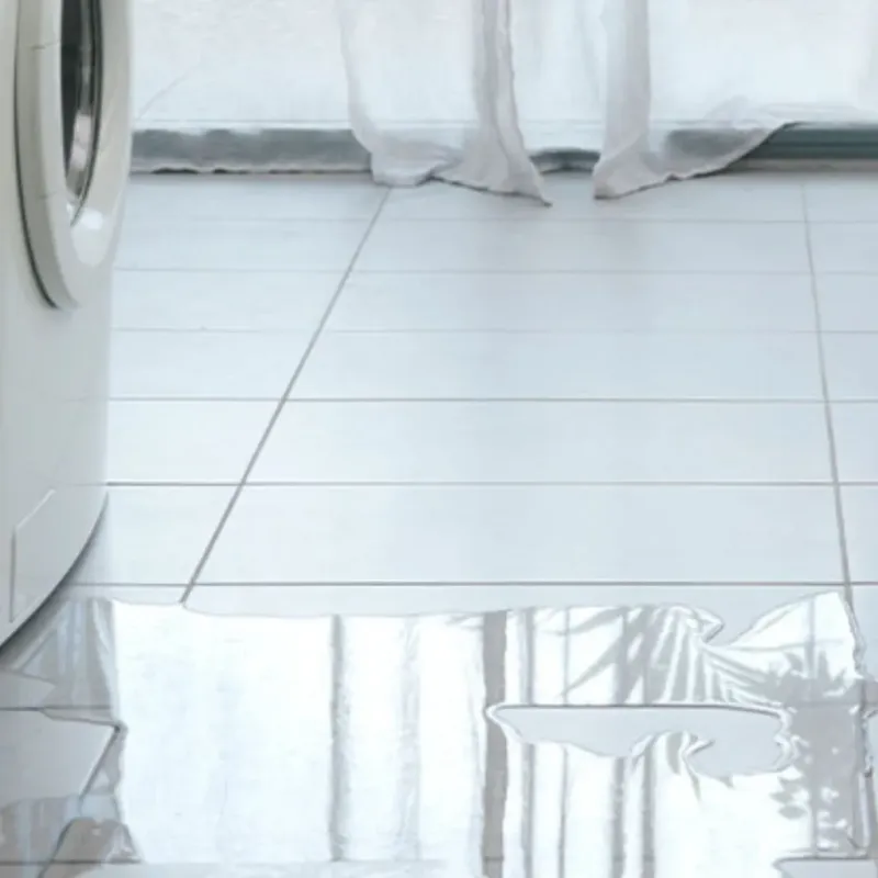 Appliance Leak Cleanup in Honaker, VA