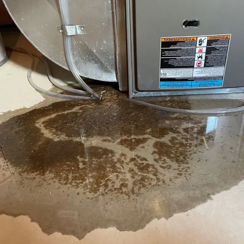 Pipe Burst and Leak Restoration in Honaker, VA