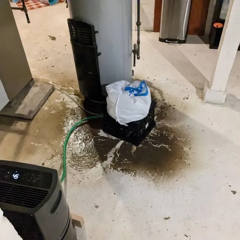Sewage Backup Cleanup Service in Honaker, VA